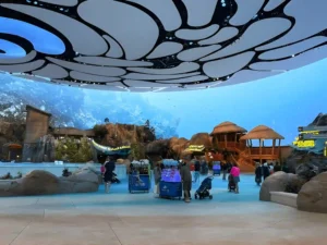 SeaWorld Abu Dhabi - Exclusive Ticket Deals! - Image 2