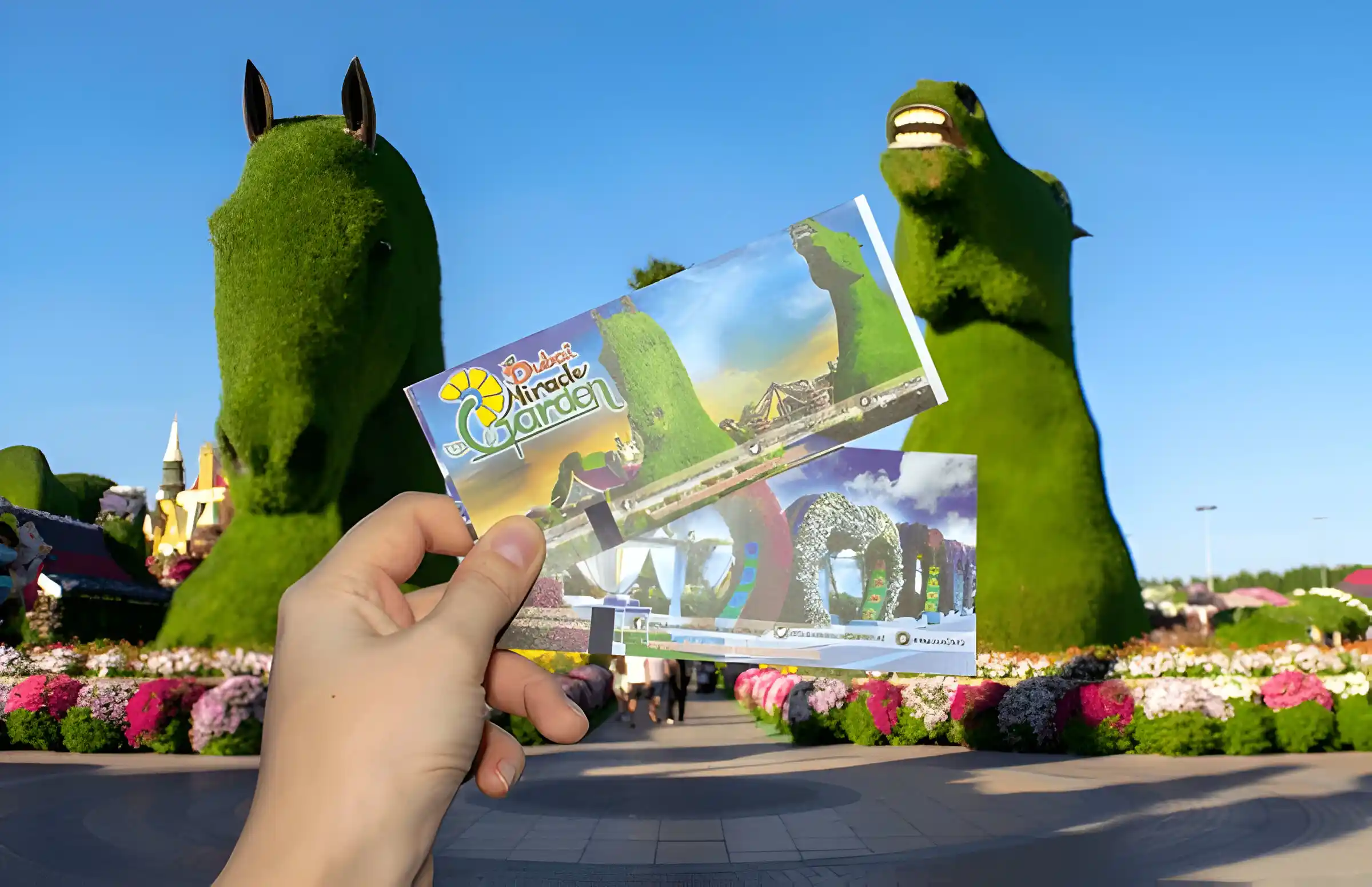 Attraction Tickets