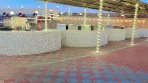 Evening Desert Safari in Dubai, Camel Ride, BBQ Dinner, Belly Dance & Live Shows - Image 2