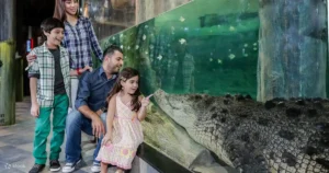 Dubai Aquarium & Underwater Zoo Tickets: Dive into an Unforgettable Adventure - Image 2