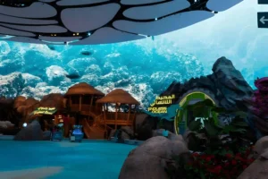 SeaWorld Abu Dhabi - Exclusive Ticket Deals! - Image 4