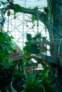 The Green Planet Dubai Tickets - Image 4