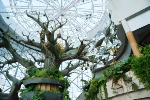 The Green Planet Dubai Tickets - Image 2