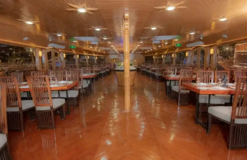 Alishba Dhow Cruse Sitting