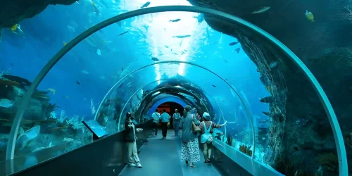 Dubai Aquarium Under Water