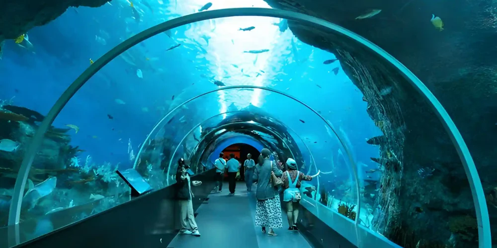 Dubai Aquarium Under Water