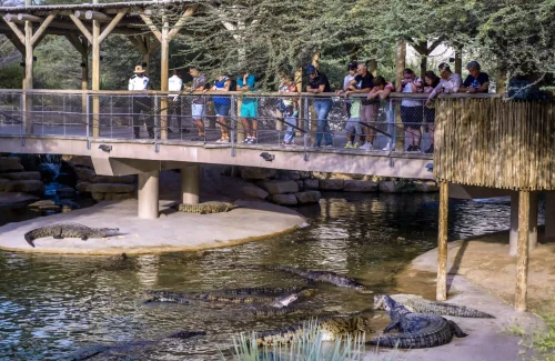 Dubai Crocodile Park PARK