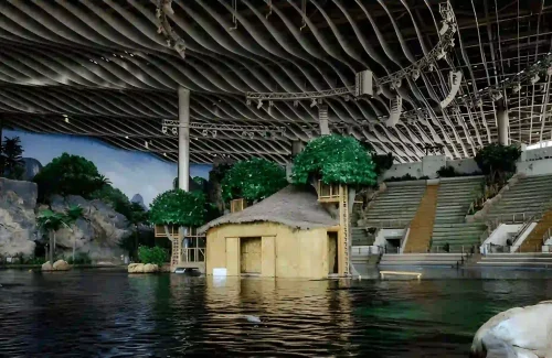 Sea World Abu Dhabi Dolphin Training Area