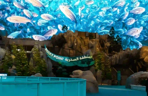 Sea World Abu Dhabi Rockey Point