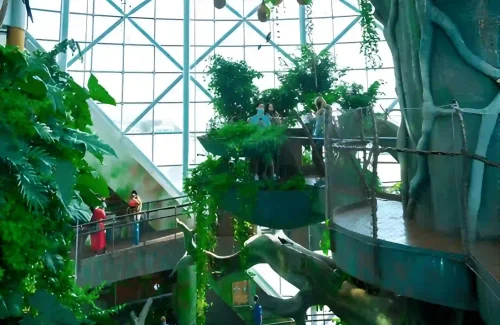 The Green Planet Dubai Bird Nest