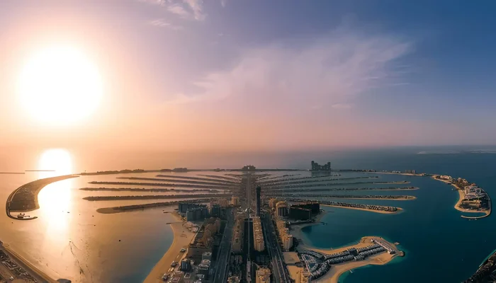 View At The Palm Evening